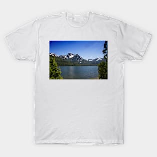 850_1805 T-Shirt